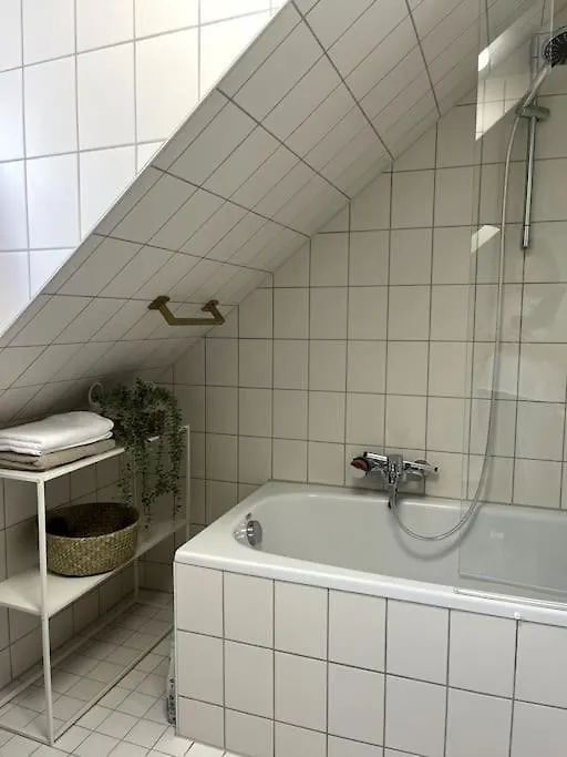 Apartment Ueber Den Daechern Der Landshuter Altstadt